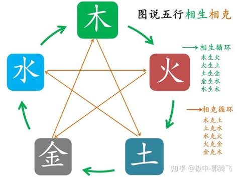 金克什么|郭极中：解析五行（木、火、土、金、水）相克的理论。